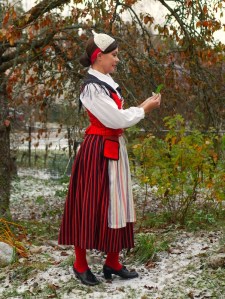 Kymenlaakson kansallispuku Kymenlaakso folkdräkt Kymenlaakso national costume